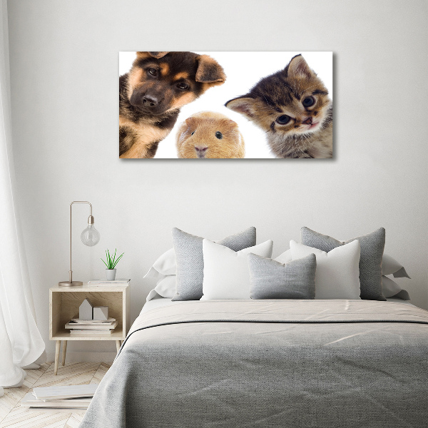 Cuadro canvas moderno de gran formato horizontal Mascotas