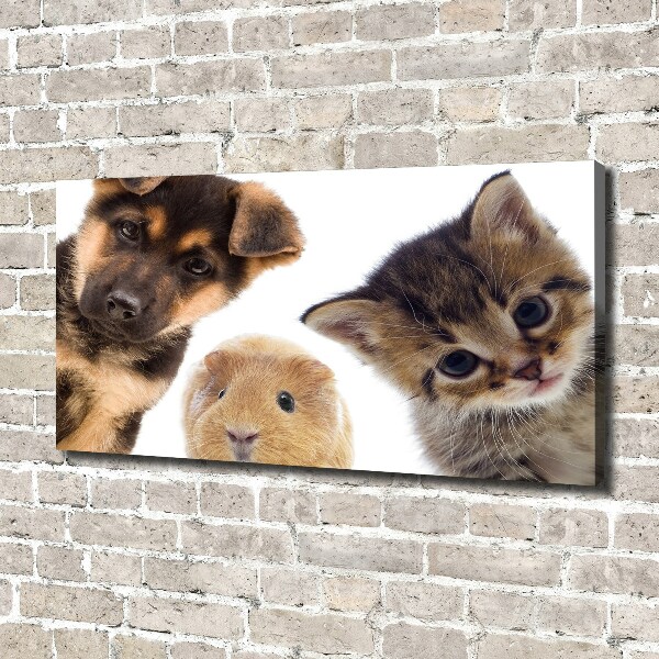 Cuadro canvas moderno de gran formato horizontal Mascotas