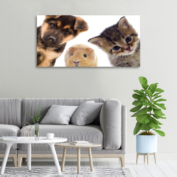 Cuadro canvas moderno de gran formato horizontal Mascotas