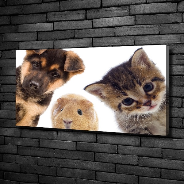Cuadro canvas moderno de gran formato horizontal Mascotas