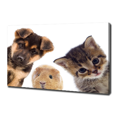Cuadro canvas moderno de gran formato horizontal Mascotas