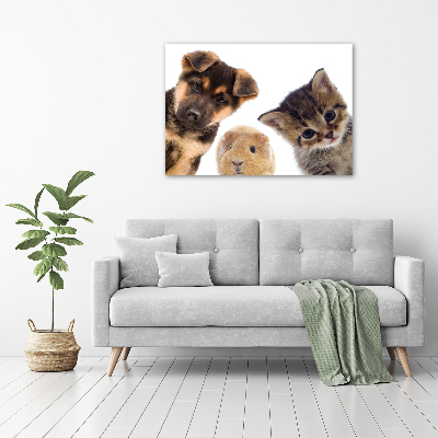 Cuadro canvas moderno de gran formato horizontal Mascotas