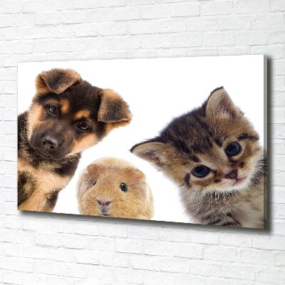 Cuadro canvas moderno de gran formato horizontal Mascotas