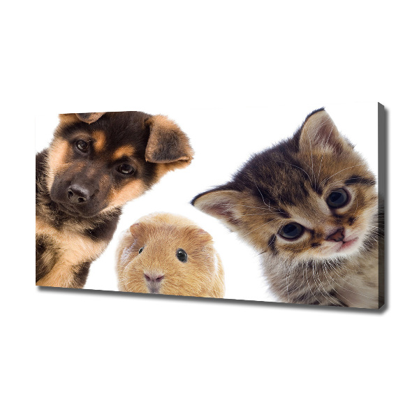 Cuadro canvas moderno de gran formato horizontal Mascotas