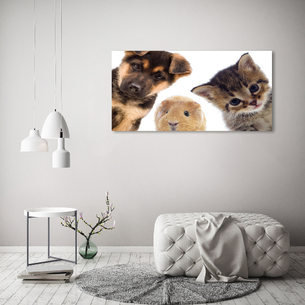 Cuadro canvas moderno de gran formato horizontal Mascotas