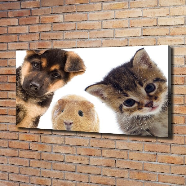 Cuadro canvas moderno de gran formato horizontal Mascotas