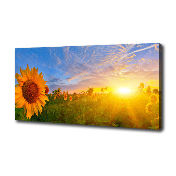 Cuadro canvas con impresión uv duradera horizontal Un campo de girasoles