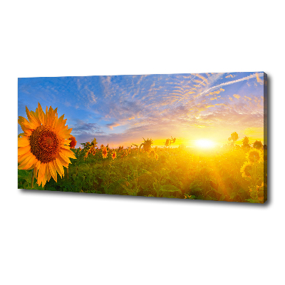 Cuadro canvas con impresión uv duradera horizontal Un campo de girasoles