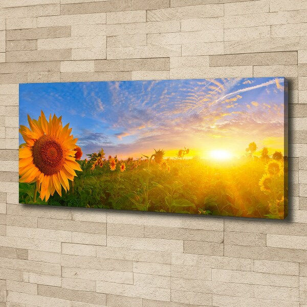 Cuadro canvas con impresión uv duradera horizontal Un campo de girasoles