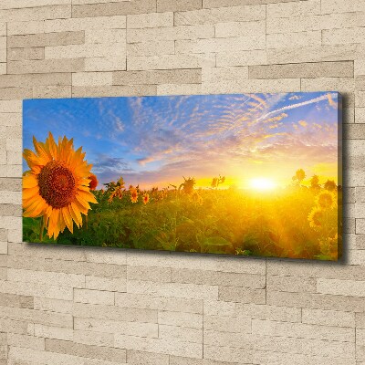 Cuadro canvas con impresión uv duradera horizontal Un campo de girasoles