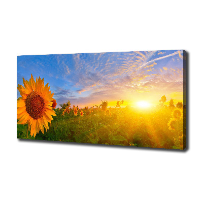 Cuadro canvas con impresión uv duradera horizontal Un campo de girasoles