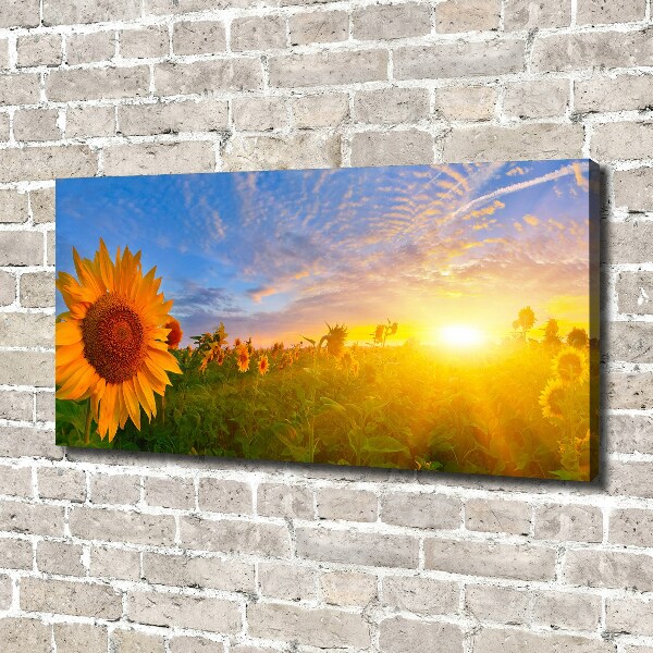 Cuadro canvas con impresión uv duradera horizontal Un campo de girasoles