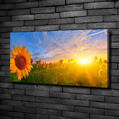 Cuadro canvas con impresión uv duradera horizontal Un campo de girasoles