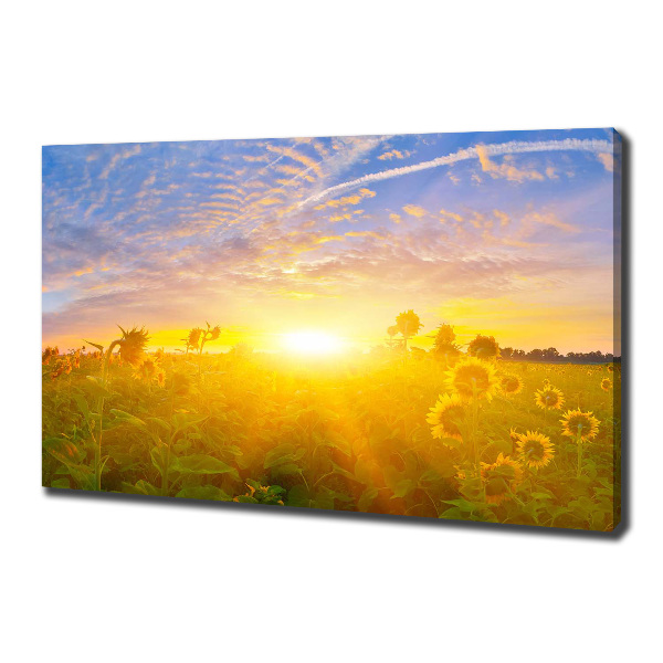 Cuadro canvas con impresión uv duradera horizontal Un campo de girasoles