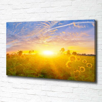 Cuadro canvas con impresión uv duradera horizontal Un campo de girasoles