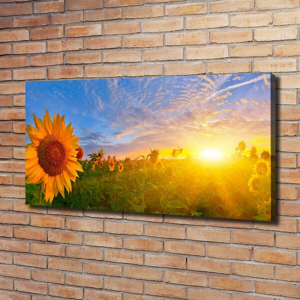Cuadro canvas con impresión uv duradera horizontal Un campo de girasoles