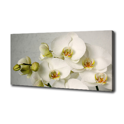 Cuadro canvas con impresión uv duradera horizontal Orquídea blanca