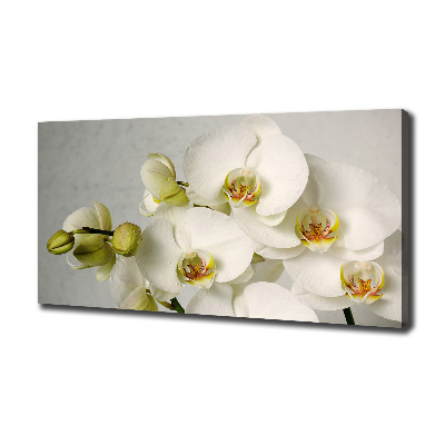 Cuadro canvas con impresión uv duradera horizontal Orquídea blanca