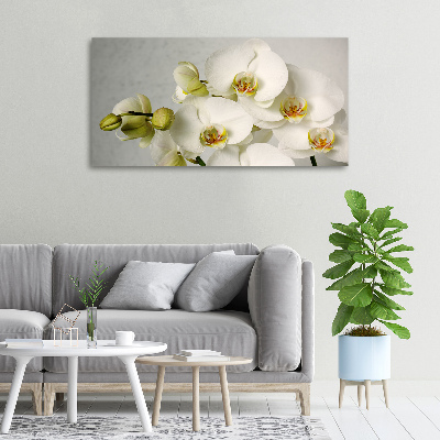 Cuadro canvas con impresión uv duradera horizontal Orquídea blanca