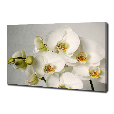 Cuadro canvas con impresión uv duradera horizontal Orquídea blanca