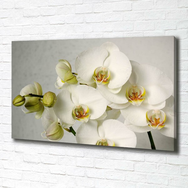 Cuadro canvas con impresión uv duradera horizontal Orquídea blanca