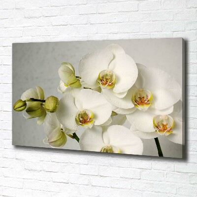 Cuadro canvas con impresión uv duradera horizontal Orquídea blanca