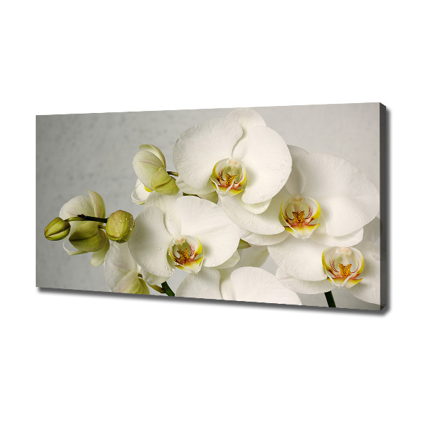 Cuadro canvas con impresión uv duradera horizontal Orquídea blanca