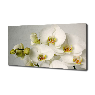 Cuadro canvas con impresión uv duradera horizontal Orquídea blanca