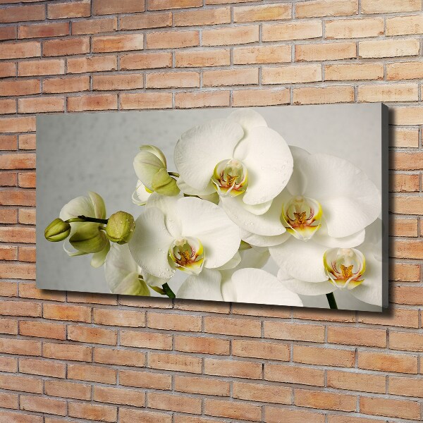 Cuadro canvas con impresión uv duradera horizontal Orquídea blanca