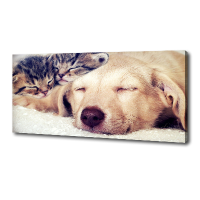 Fotocuadro en lienzo de alta calidad horizontal Cachorros y gatos