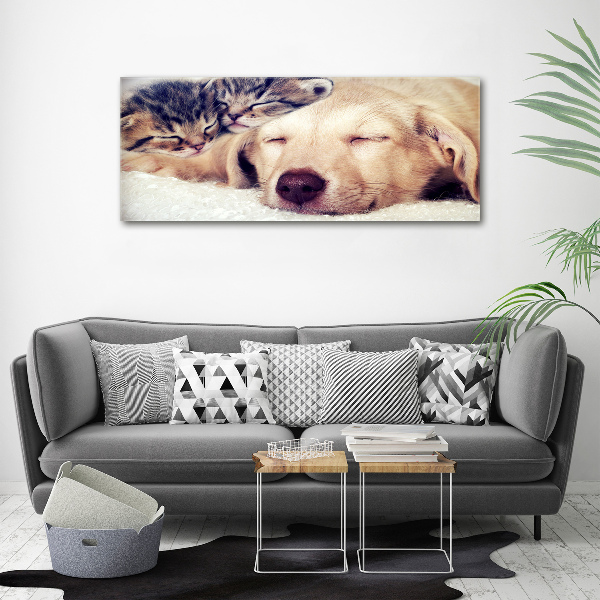 Fotocuadro en lienzo de alta calidad horizontal Cachorros y gatos