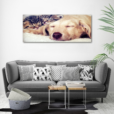 Fotocuadro en lienzo de alta calidad horizontal Cachorros y gatos