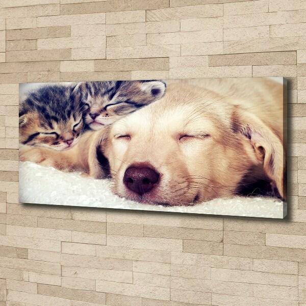 Fotocuadro en lienzo de alta calidad horizontal Cachorros y gatos