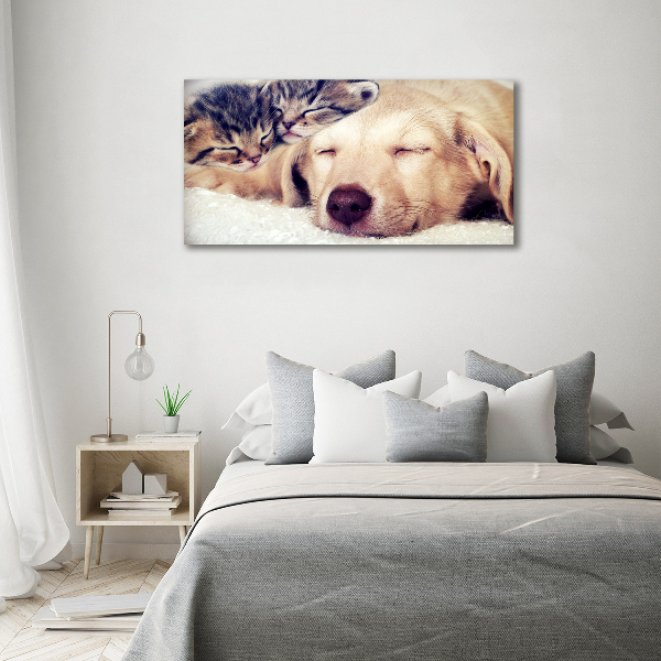 Fotocuadro en lienzo de alta calidad horizontal Cachorros y gatos