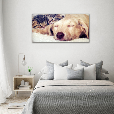 Fotocuadro en lienzo de alta calidad horizontal Cachorros y gatos