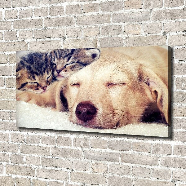 Fotocuadro en lienzo de alta calidad horizontal Cachorros y gatos