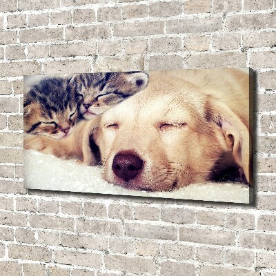 Fotocuadro en lienzo de alta calidad horizontal Cachorros y gatos