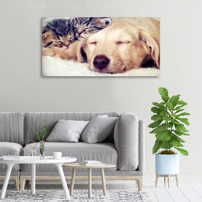 Fotocuadro en lienzo de alta calidad horizontal Cachorros y gatos
