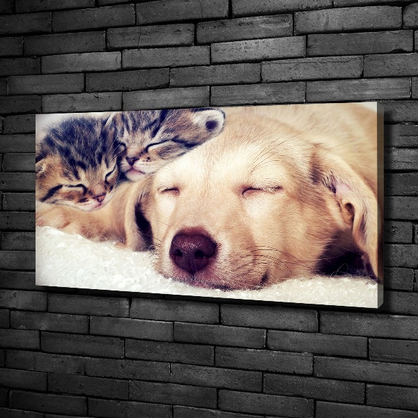 Fotocuadro en lienzo de alta calidad horizontal Cachorros y gatos