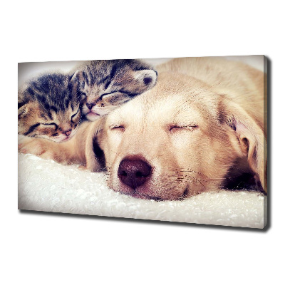 Fotocuadro en lienzo de alta calidad horizontal Cachorros y gatos
