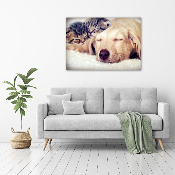 Fotocuadro en lienzo de alta calidad horizontal Cachorros y gatos