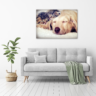 Fotocuadro en lienzo de alta calidad horizontal Cachorros y gatos