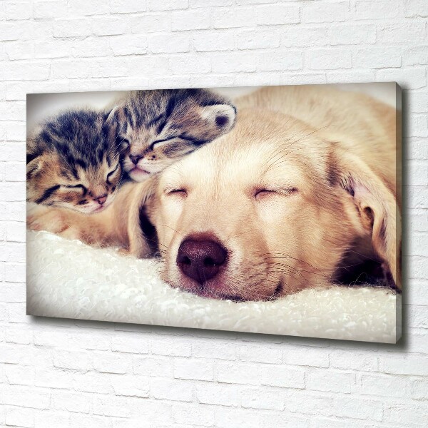 Fotocuadro en lienzo de alta calidad horizontal Cachorros y gatos