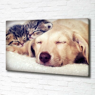 Fotocuadro en lienzo de alta calidad horizontal Cachorros y gatos