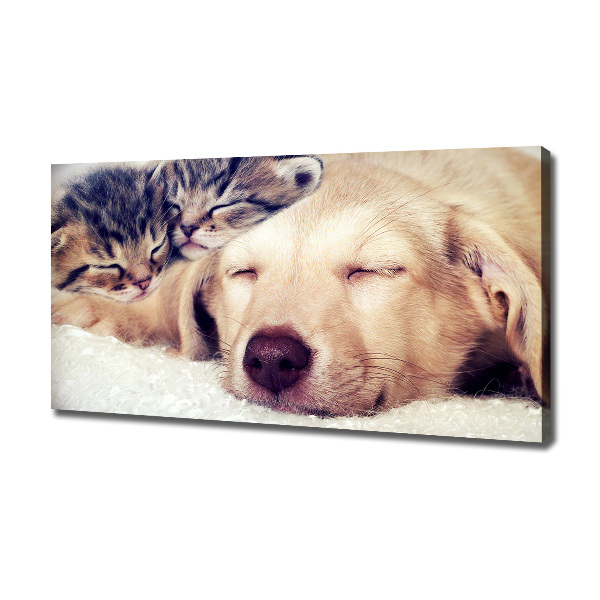 Fotocuadro en lienzo de alta calidad horizontal Cachorros y gatos