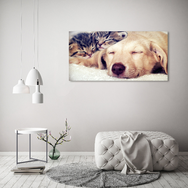 Fotocuadro en lienzo de alta calidad horizontal Cachorros y gatos