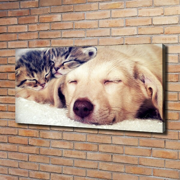 Fotocuadro en lienzo de alta calidad horizontal Cachorros y gatos