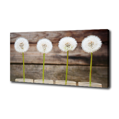Foto en lienzo con acabado profesional horizontal Dientes de león
