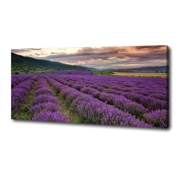 Cuadro canvas moderno de gran formato horizontal campo de lavanda