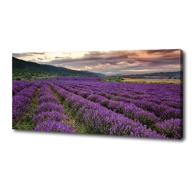 Cuadro canvas moderno de gran formato horizontal campo de lavanda